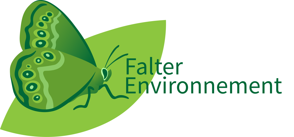 Falter Environnement
